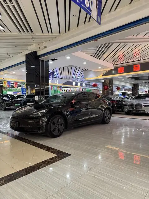 Tesla Model 3 2021