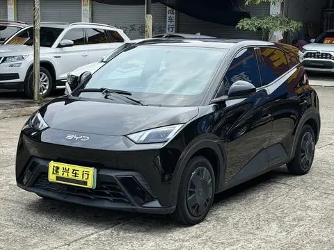 BYD Seagull 2024