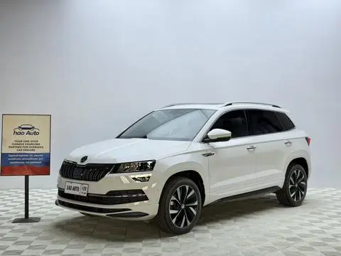 Skoda 柯珞克 2023