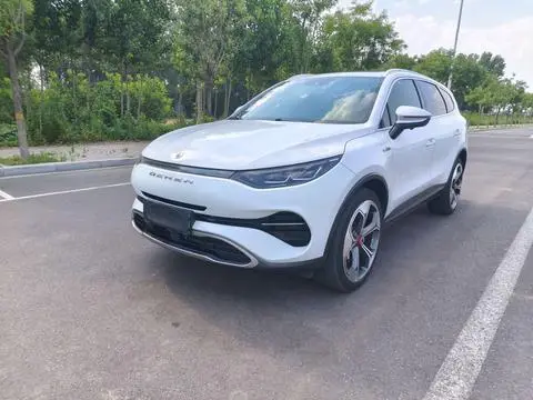 Denza X PHEV 2020
