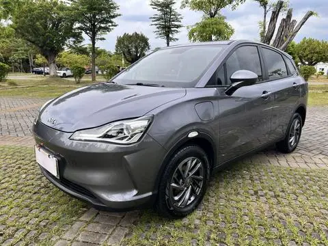 NETA V 2021