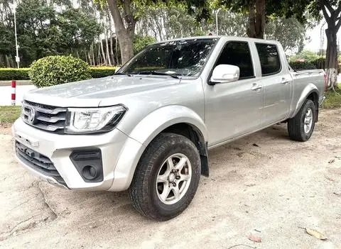 Dongfeng 锐骐 2021