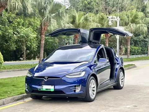 Tesla Model X 2019