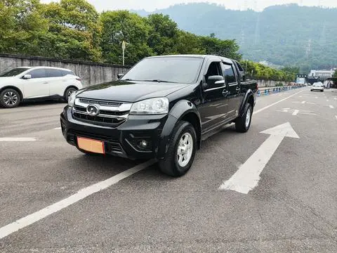 Great Wall 风骏5 2021