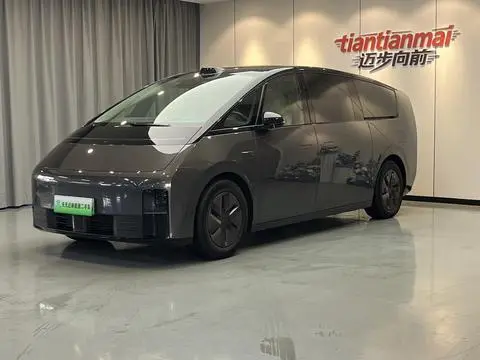 Li MEGA 2024
