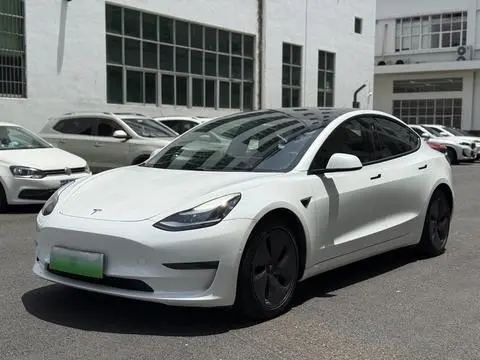 Tesla Model 3 2019