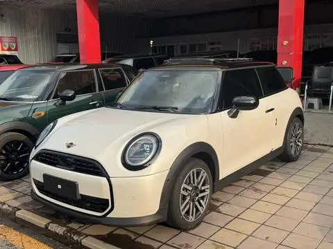 MINI MINI 2025