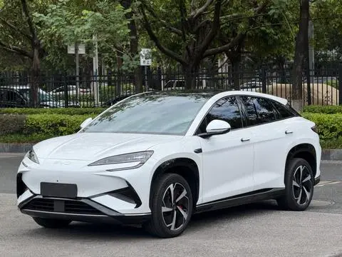 BYD 海狮07EV 2024 — фото 1