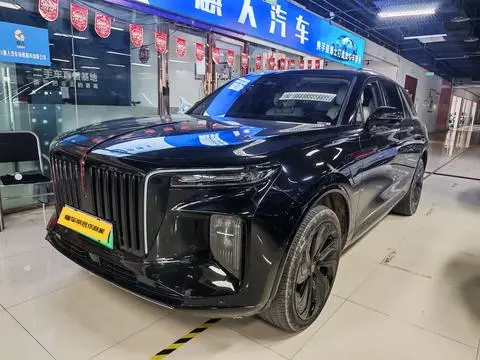 Hongqi E-HS9 2020 — фото 1