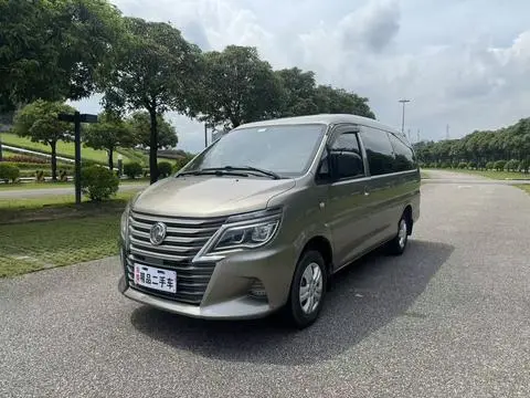 Forthing Lingzhi 2019