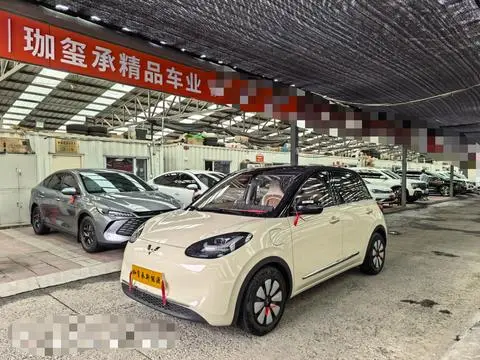 Wuling Bingo 2025