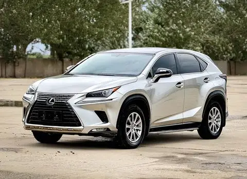 Lexus NX 2020 — фото 1