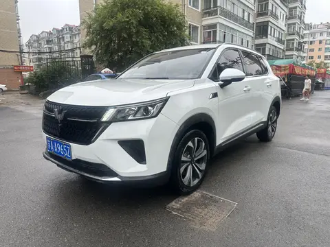 Wuling Xingchen 2022
