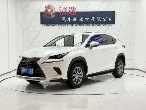 Lexus NX 2020 — фото 1