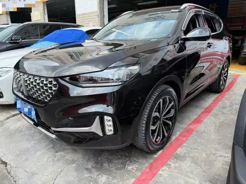 Wey VV6 2021