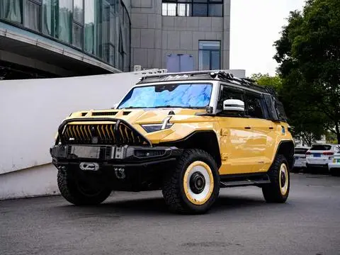 Mengshi 917 2024