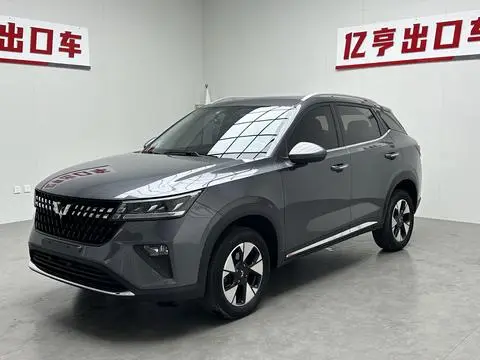 Wuling 星驰 2022