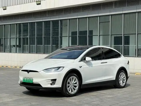 Tesla Model X 2019