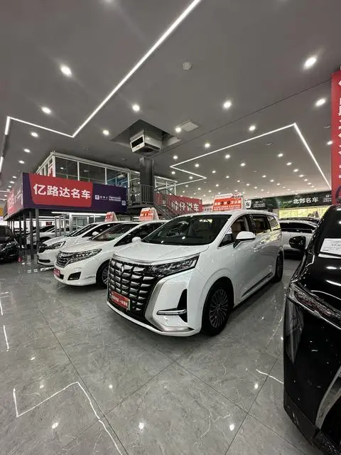 Denza D9 DM 2022