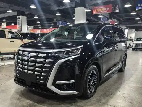Denza D9 DM 2024