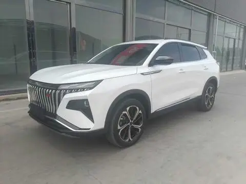 Dongfeng 皓极 2024