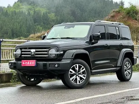 TANK 300 2024