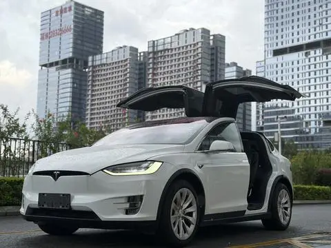 Tesla Model X 2019