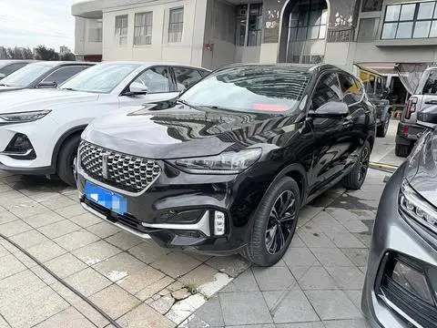 Wey VV6 2021