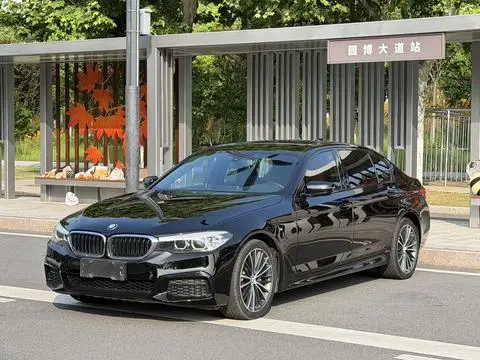 BMW 5 Series 2019 — фото 1