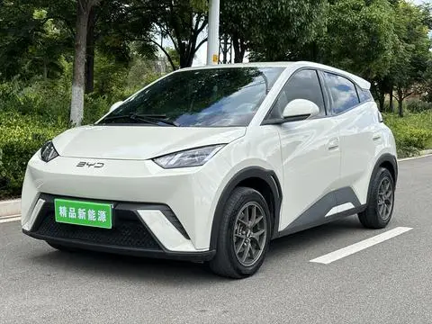 BYD Seagull 2024