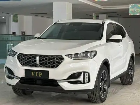 Wey VV6 2021