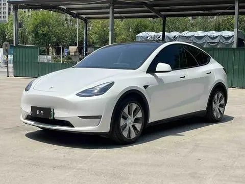 Tesla Model Y 2021 — фото 1