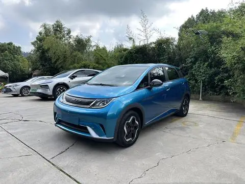 BYD Dolphin 2021