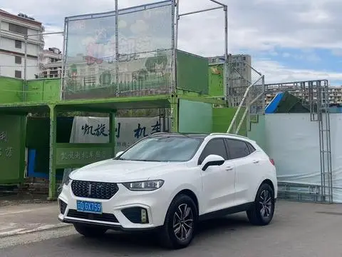 Wey VV5 2020