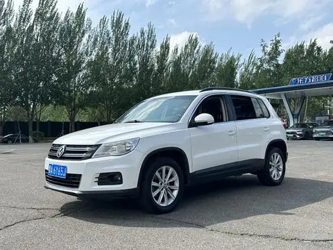 Volkswagen Tiguan 2010