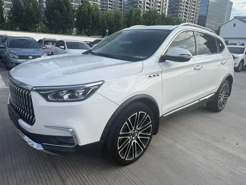 Leopaard Mattu 2018
