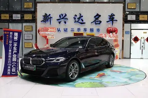 BMW 5 Series PHEV 2022