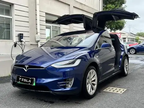 Tesla Model X 2019 — фото 1