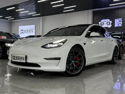 Tesla Model 3 2021