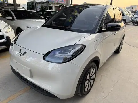 Wuling Bingo 2024