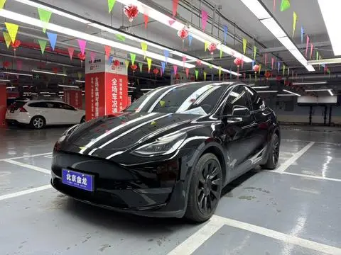 Tesla Model Y 2021