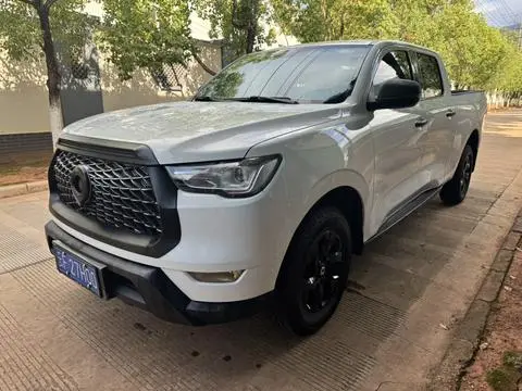 Great Wall 炮 2021