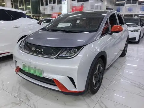 BYD Dolphin 2021