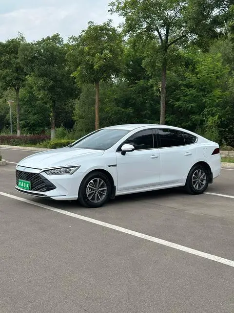 BYD 秦PLUS DM 2024