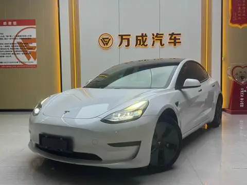 Tesla Model 3 2020