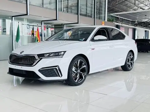 Skoda 明锐 2023