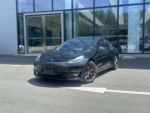 Tesla Model 3 2022