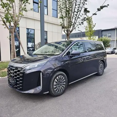 BYD 夏 2025