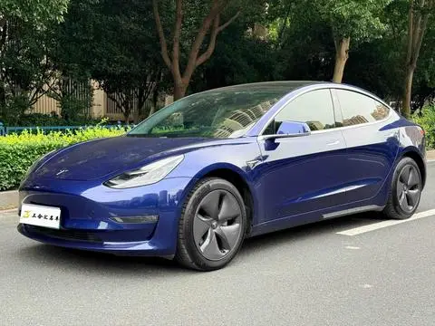 Tesla Model 3 2019