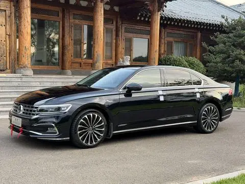 Volkswagen 辉昂 2021